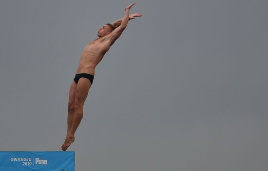 Чемпионат мира FINA 2019. Хайдайвинг