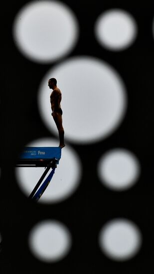 Чемпионат мира FINA 2019. Хайдайвинг