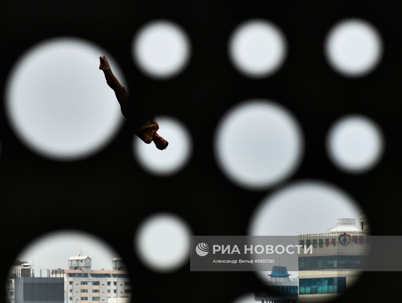 Чемпионат мира FINA 2019. Хайдайвинг