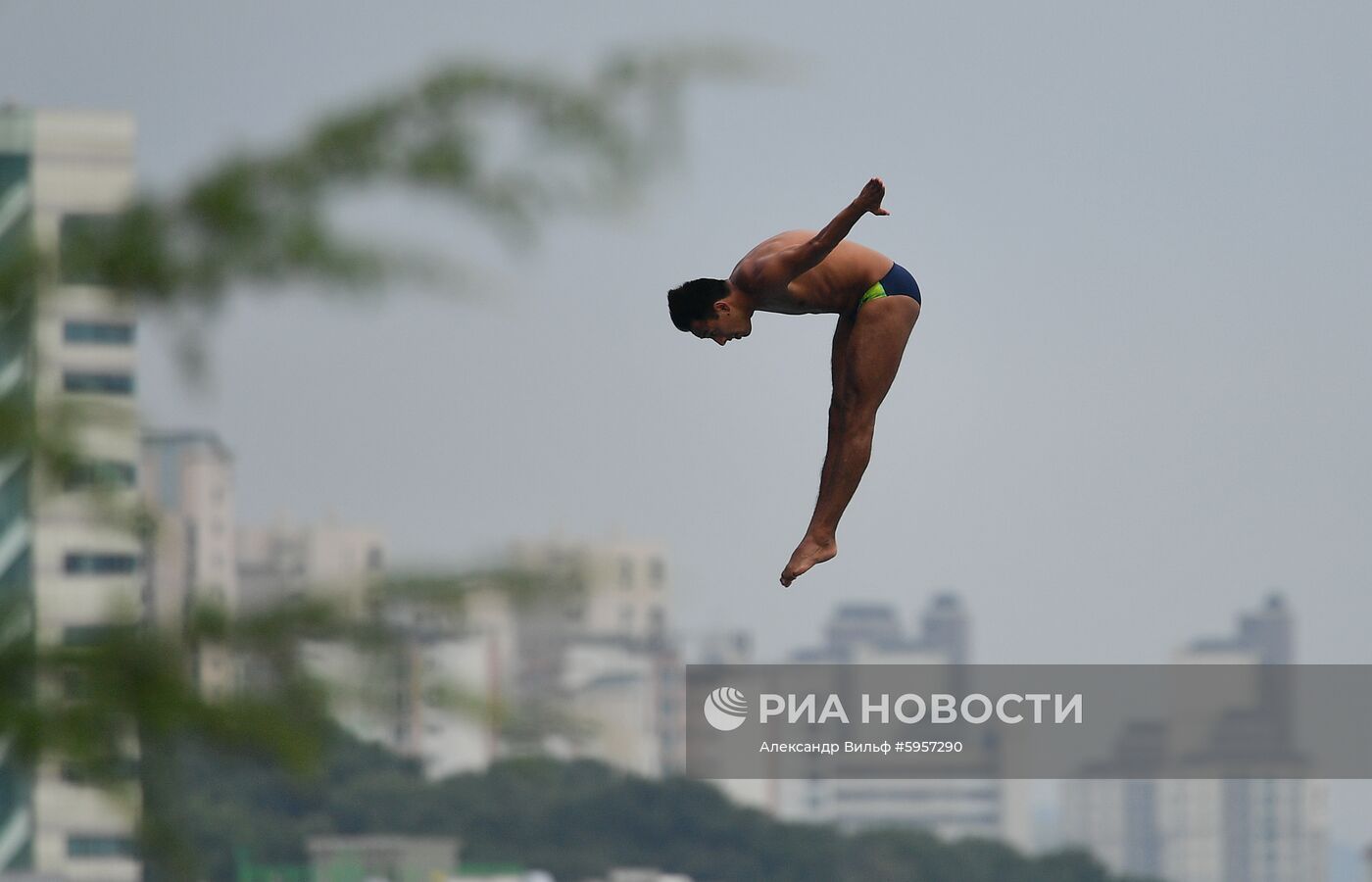 Чемпионат мира FINA 2019. Хайдайвинг