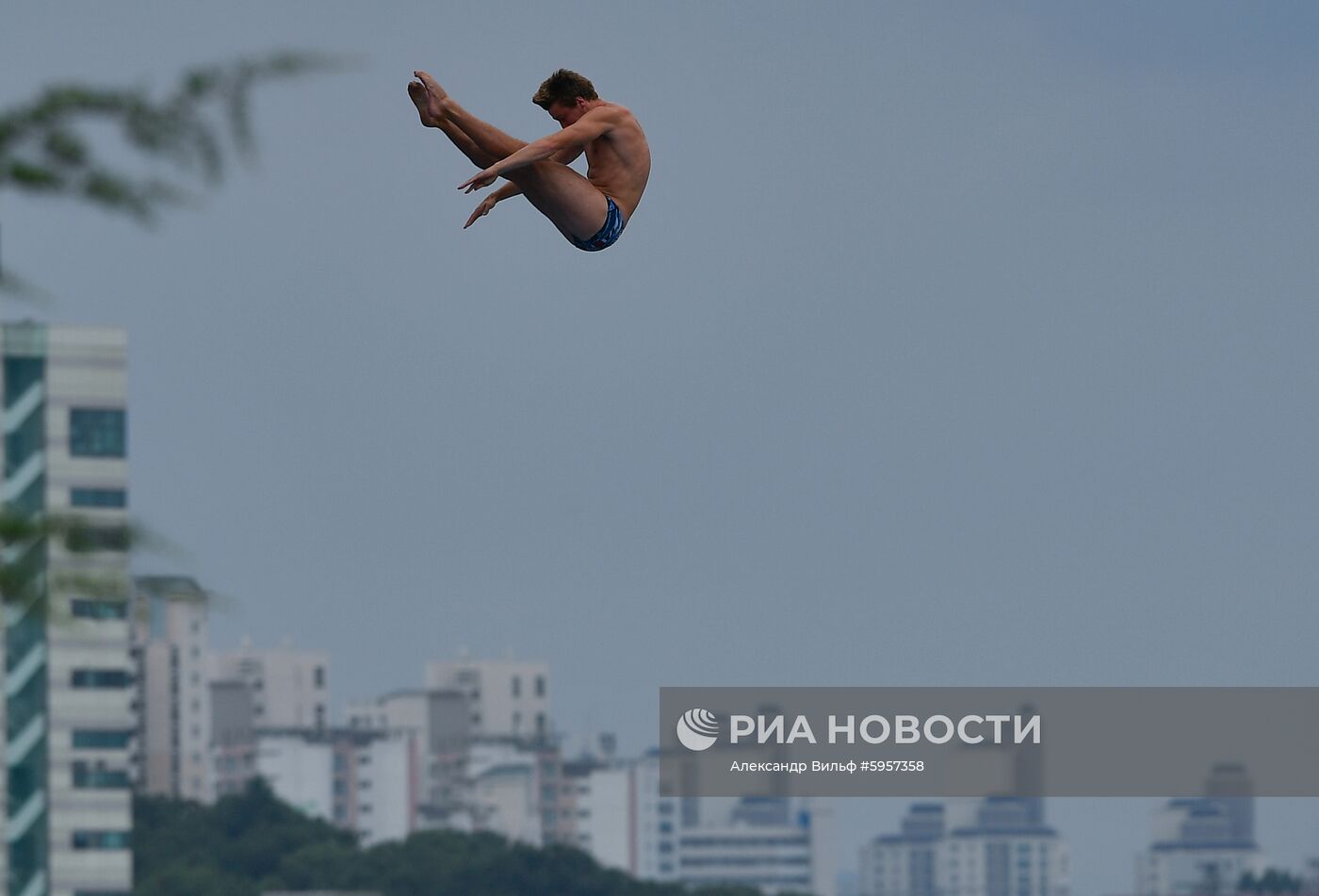 Чемпионат мира FINA 2019. Хайдайвинг