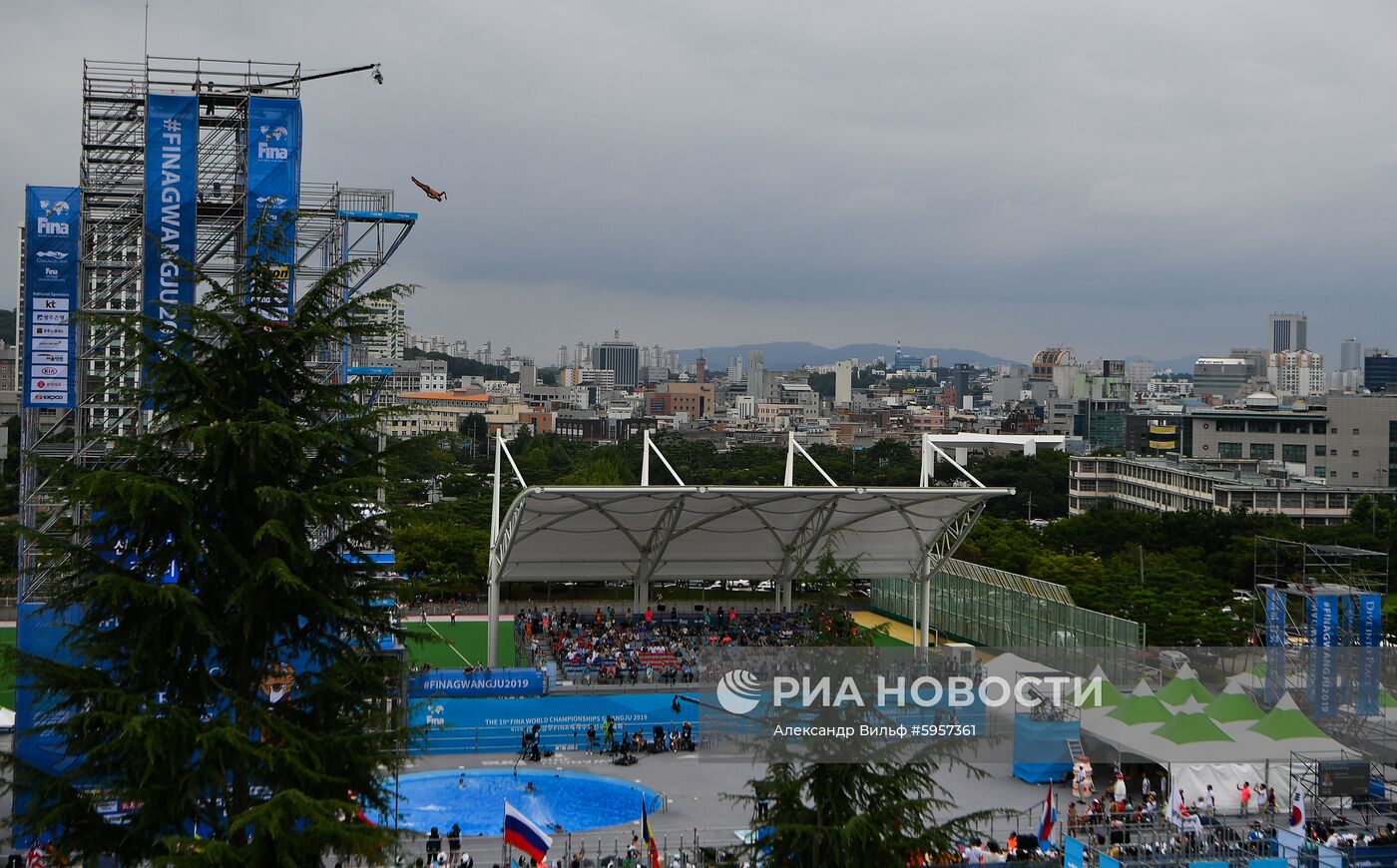 Чемпионат мира FINA 2019. Хайдайвинг