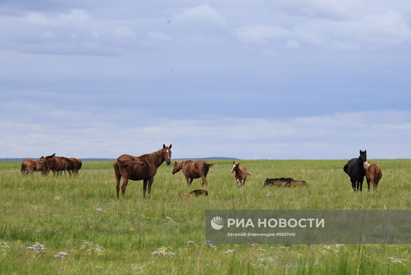 Восстановление чабанских стоянок после пожаров в Забайкалье