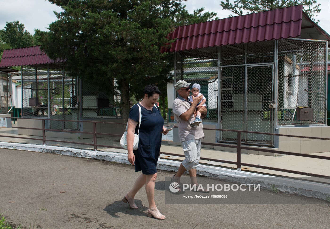 Научно-исследовательский институт медицинской приматологии