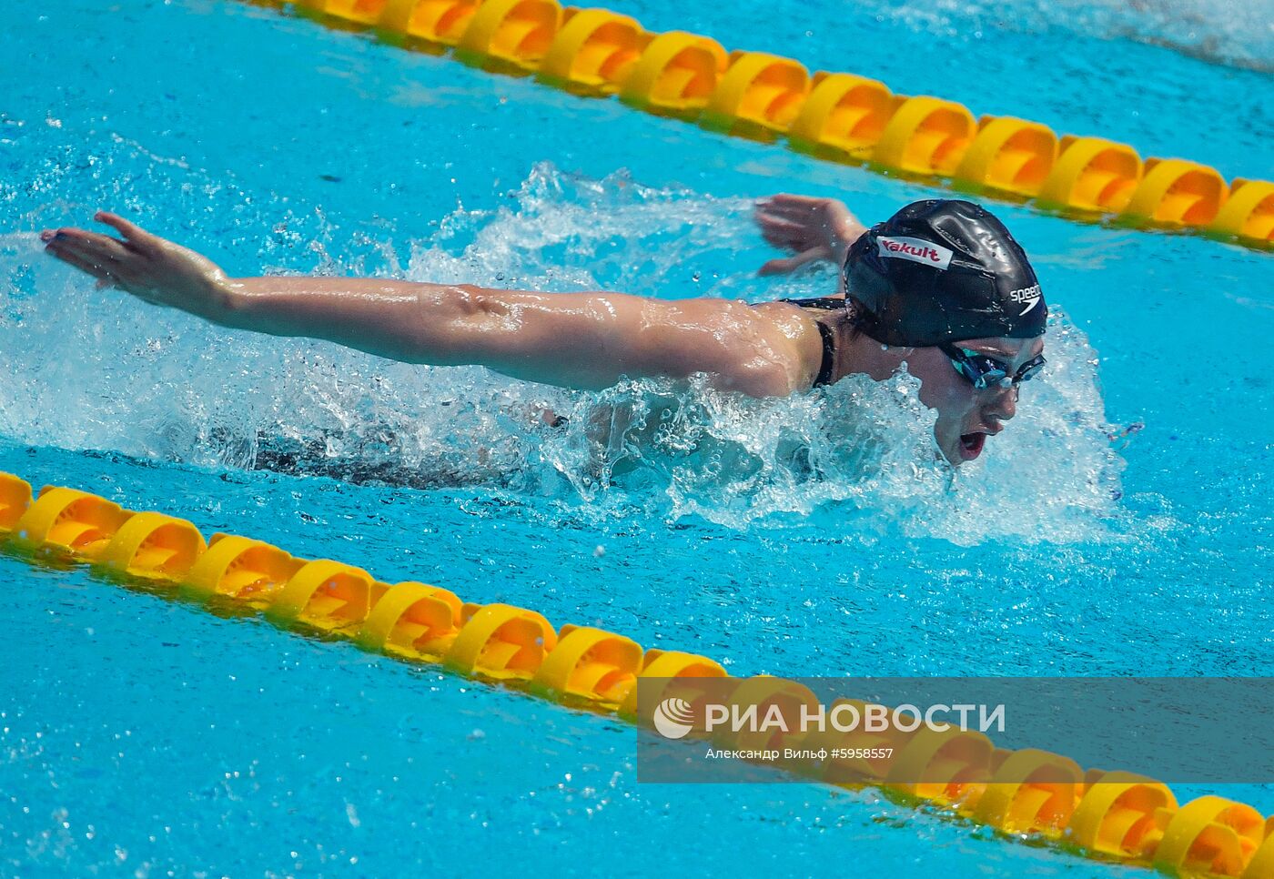 Чемпионат мира FINA 2019. Плавание. Пятый день
