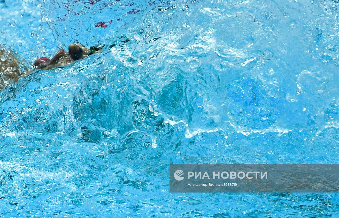 Чемпионат мира FINA 2019. Плавание. Пятый день