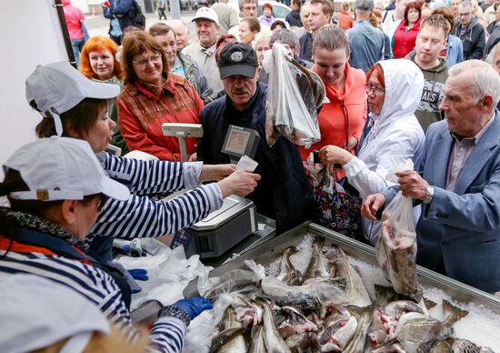 Рыбная ярмарка в Мурманске 