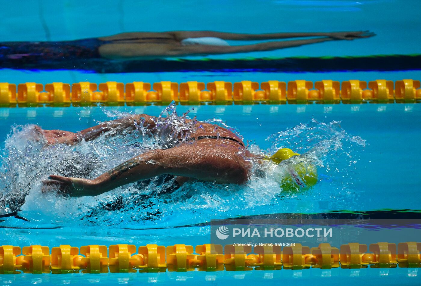 Чемпионат мира FINA 2019. Плавание. Седьмой день