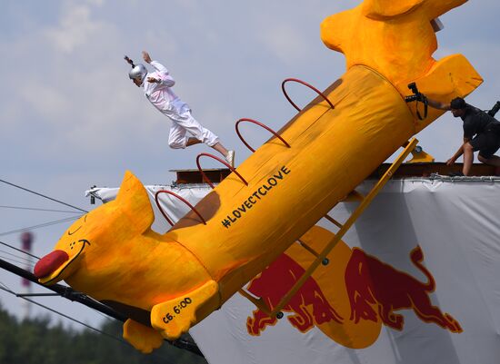 Шоу Red Bull Flugtag-2019