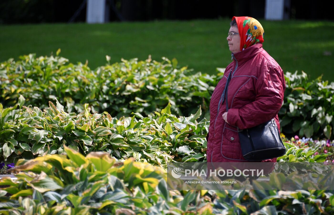 Похолодание в Москве 