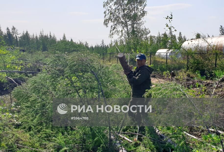 Ликвидация лесных пожаров в Якутии