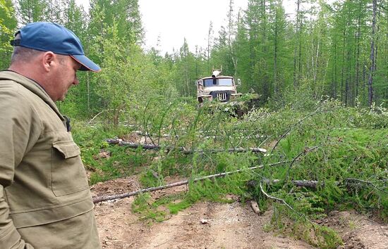 Ликвидация лесных пожаров в Якутии