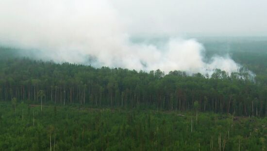 Ликвидация лесных пожаров в Красноярском крае и Иркутской области