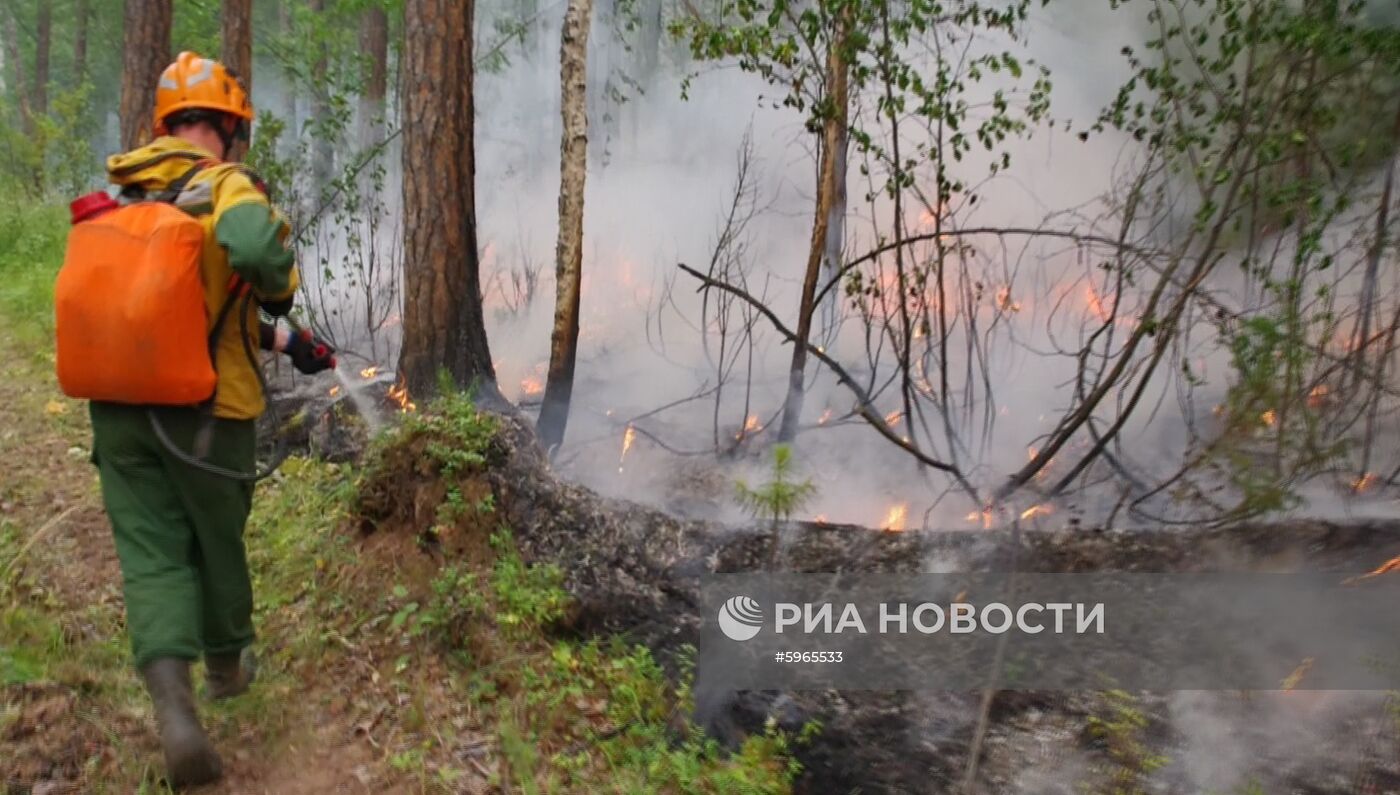 Ликвидация лесных пожаров в Красноярском крае и Иркутской области