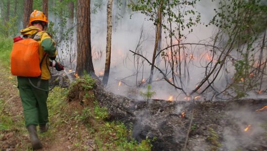 Ликвидация лесных пожаров в Красноярском крае и Иркутской области