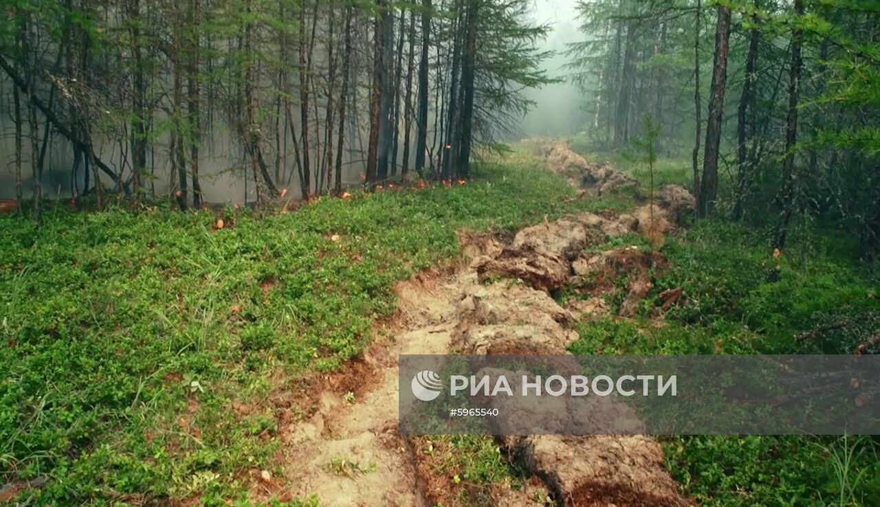 Ликвидация лесных пожаров в Красноярском крае и Иркутской области