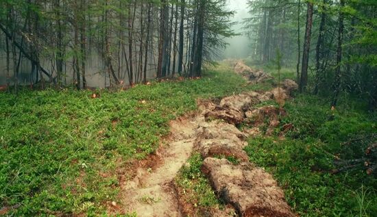 Ликвидация лесных пожаров в Красноярском крае и Иркутской области