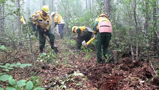 Ликвидация лесных пожаров в Красноярском крае и Иркутской области