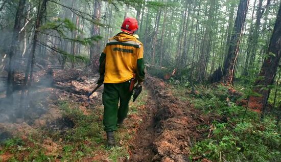 Ликвидация лесных пожаров в Красноярском крае и Иркутской области