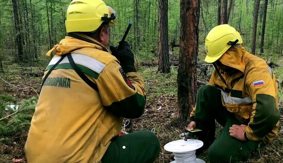 Ликвидация лесных пожаров в Красноярском крае и Иркутской области