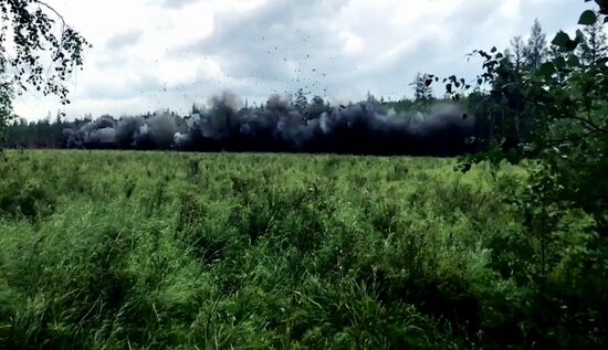 Ликвидация лесных пожаров в Красноярском крае и Иркутской области