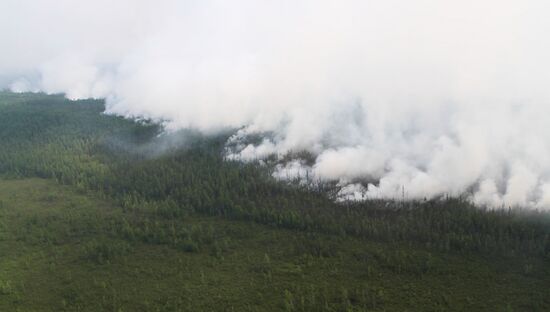 Ликвидация лесных пожаров в Красноярском крае и Иркутской области