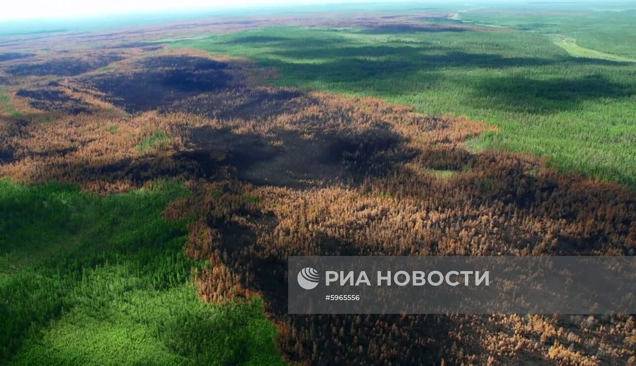 Ликвидация лесных пожаров в Красноярском крае и Иркутской области