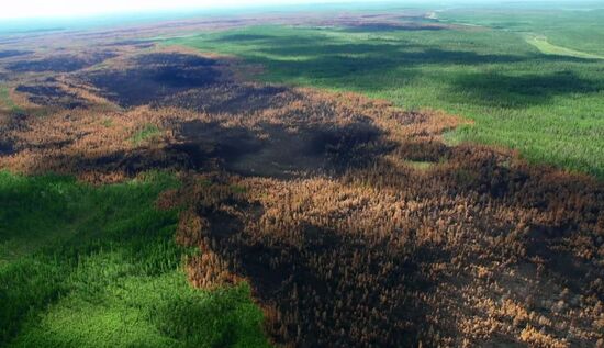 Ликвидация лесных пожаров в Красноярском крае и Иркутской области