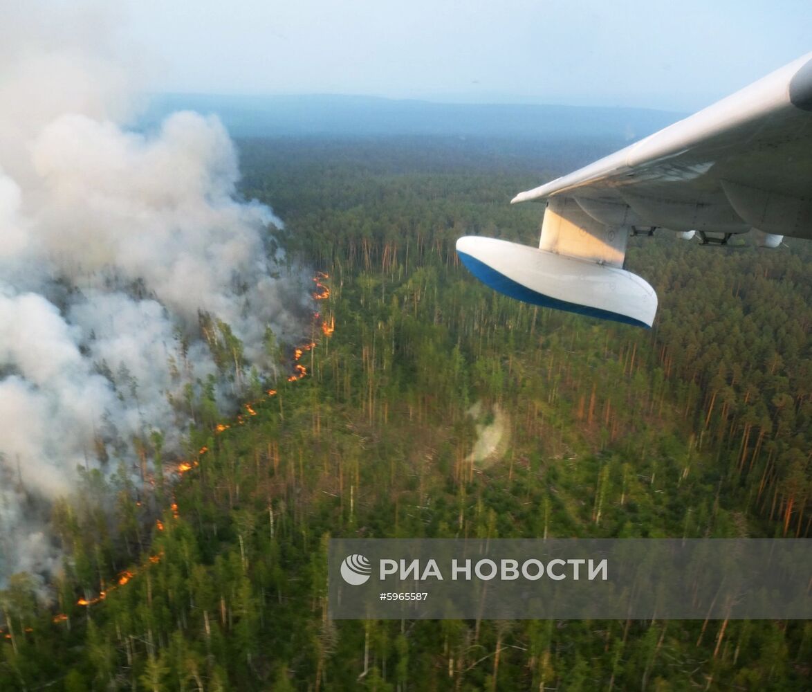 Ликвидация лесных пожаров в Красноярском крае и Иркутской области