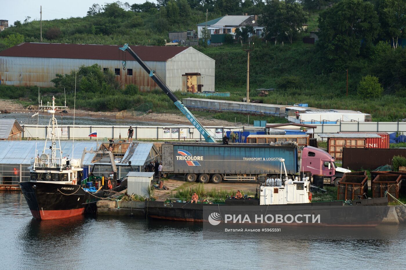 Третий этап выпуска на волю косаток