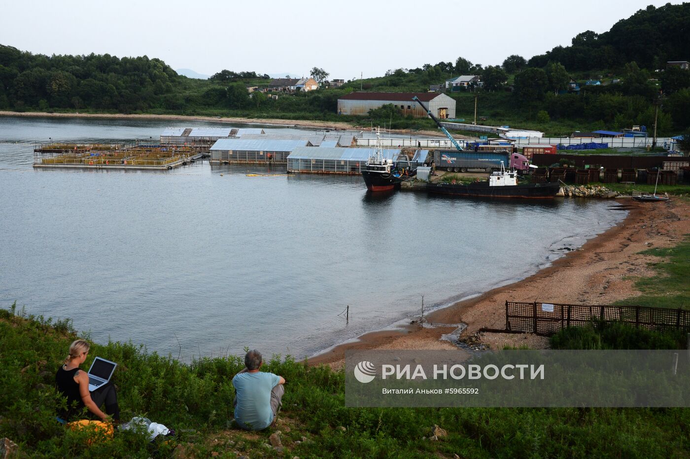 Третий этап выпуска на волю косаток