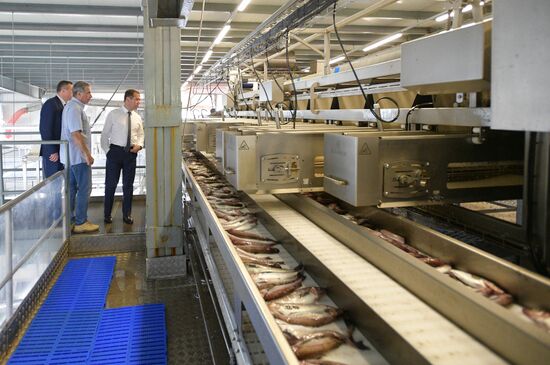 Рабочая поездка премьер-министра РФ Д. Медведева в Сахалинскую область. День второй