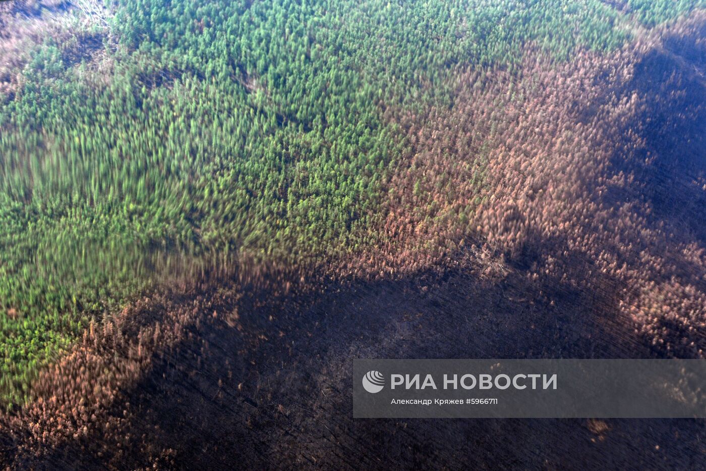 Ликвидация пожаров в Красноярском крае