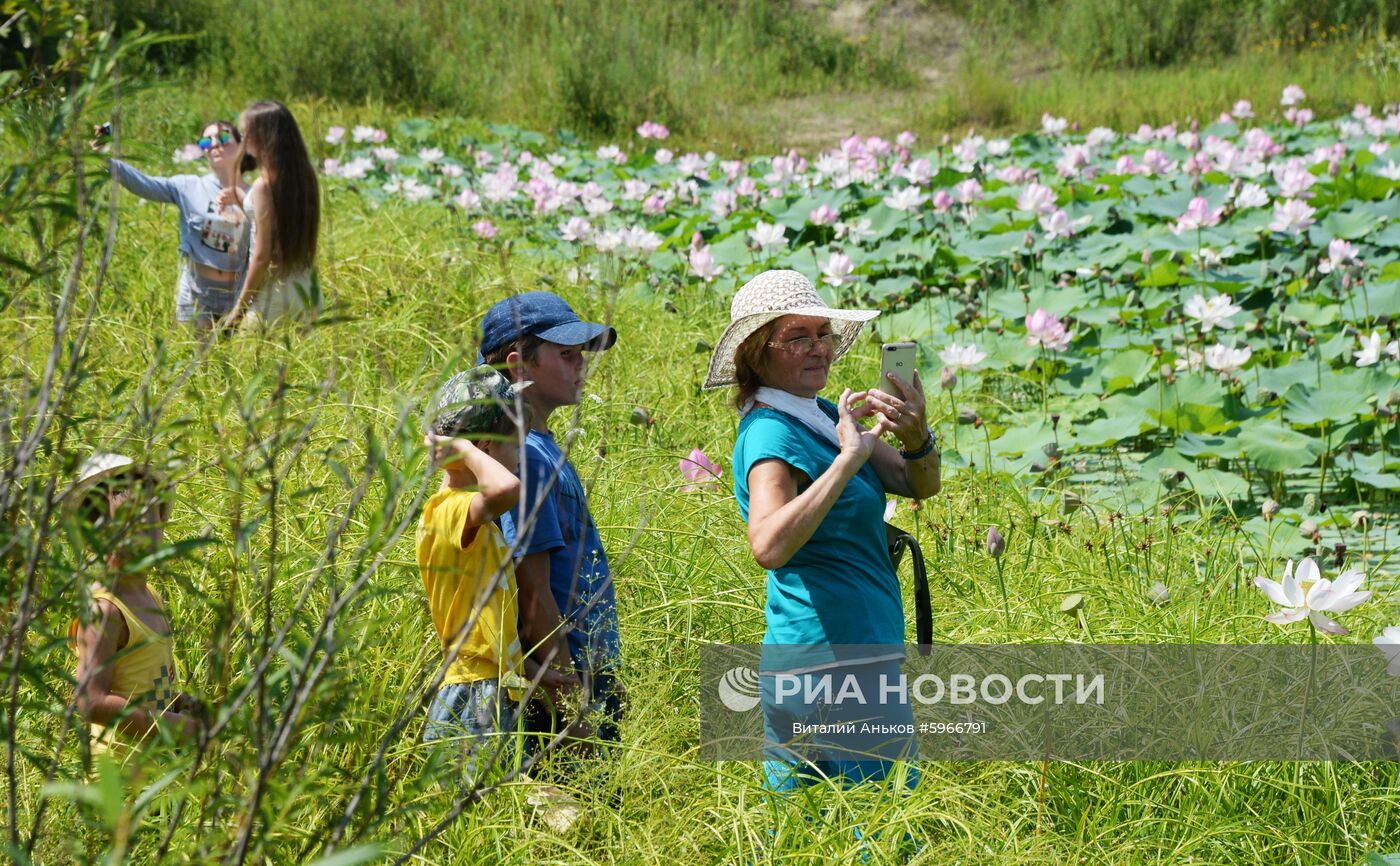 Посетители фестиваля "Лотос-2019" фотографируются на озере "Бассейн" близ села Яковлевка. Место: Россия, Приморский край. Автор: Виталий Аньков/РИА Новости. Фестиваль "Лотос-2019" в Приморье
