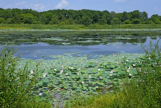 Фестиваль "Лотос-2019" в Приморье   