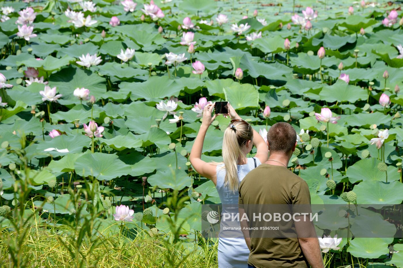 Фестиваль "Лотос-2019" в Приморье