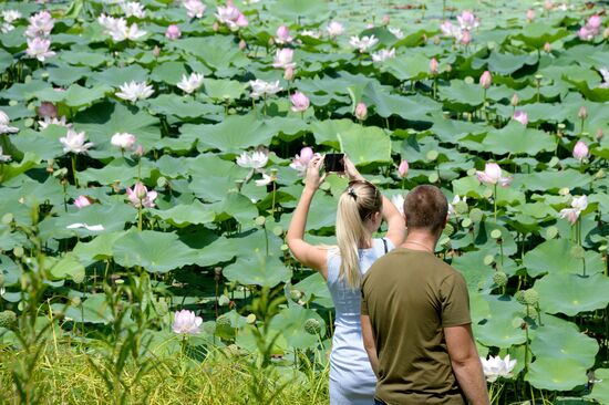 Фестиваль "Лотос-2019" в Приморье   