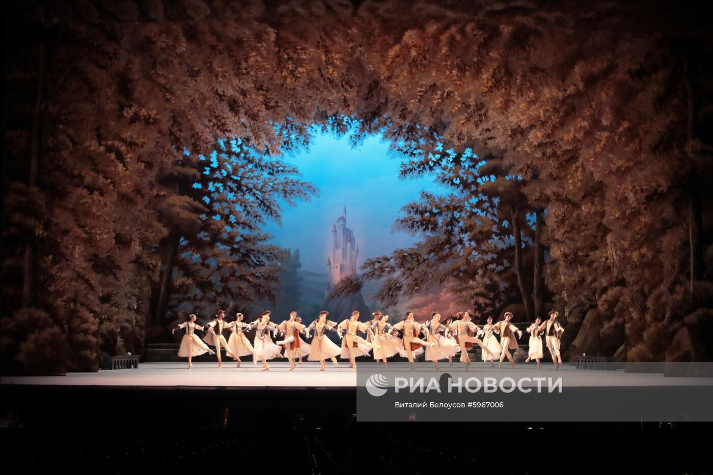 Репетиция спектакля "Лебединое озеро"