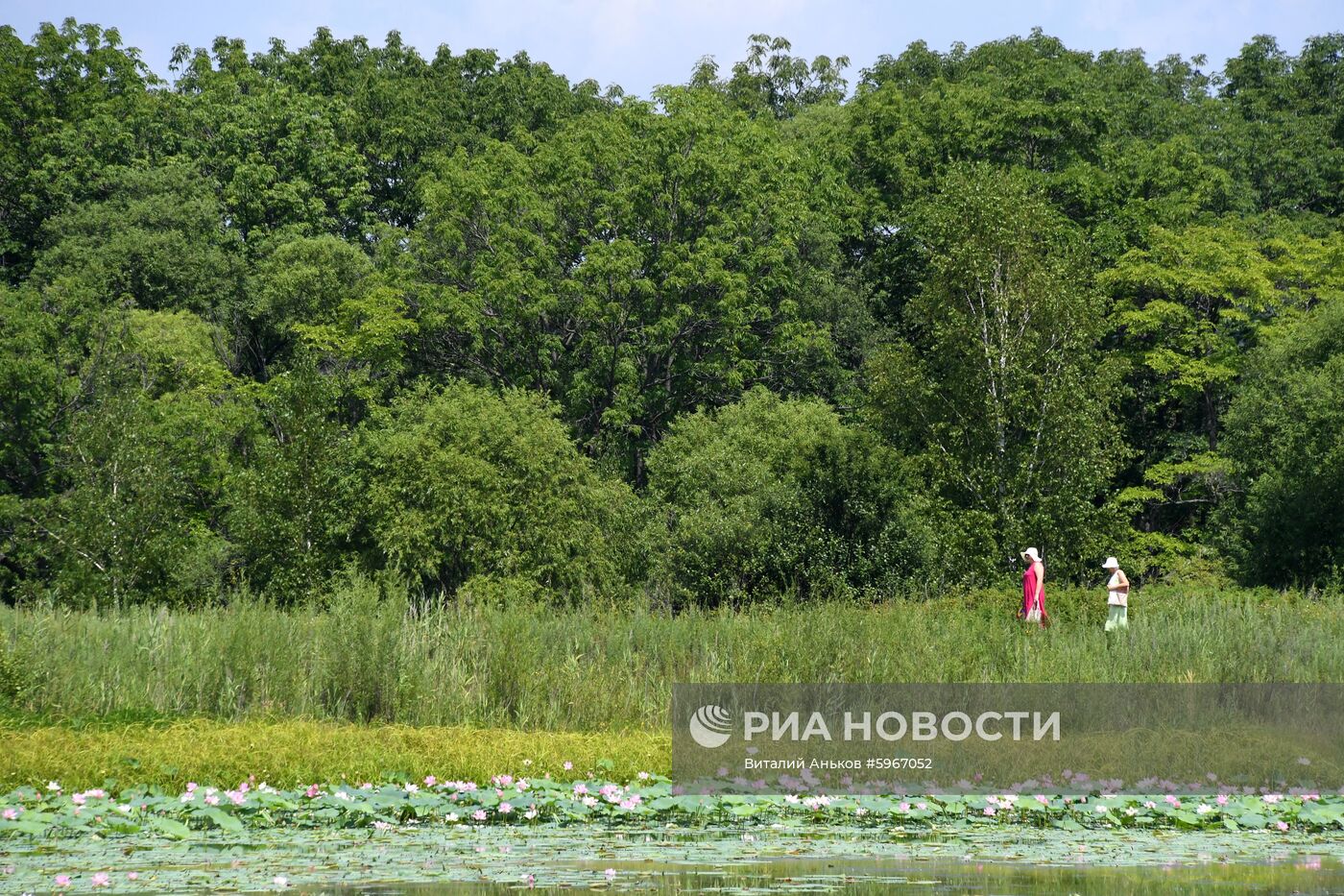 Фестиваль "Лотос-2019" в Приморье