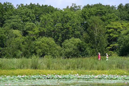 Фестиваль "Лотос-2019" в Приморье   