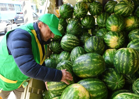 Бахчевые развалы открылись в Москве