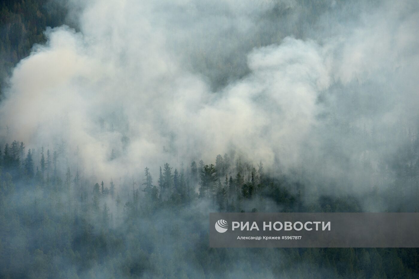 Ликвидация пожаров в Красноярском крае