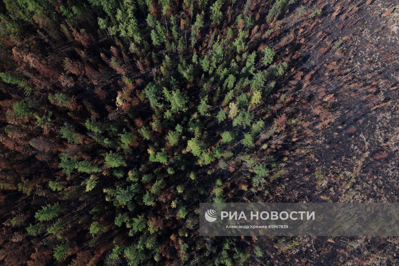 Ликвидация пожаров в Красноярском крае
