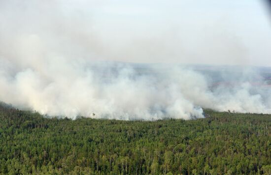 Ликвидация пожаров в Красноярском крае