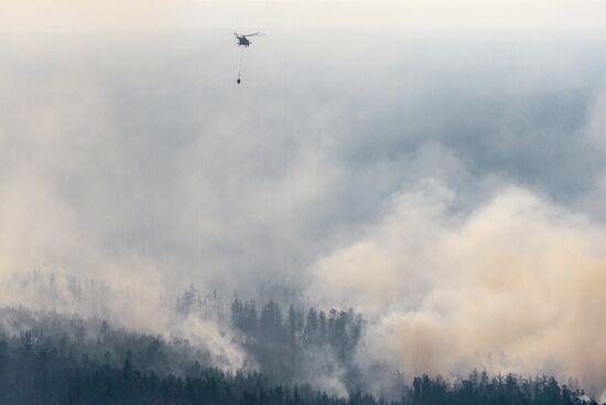 Ликвидация пожаров в Красноярском крае