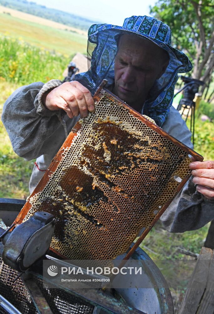 Пасека в Приморском крае