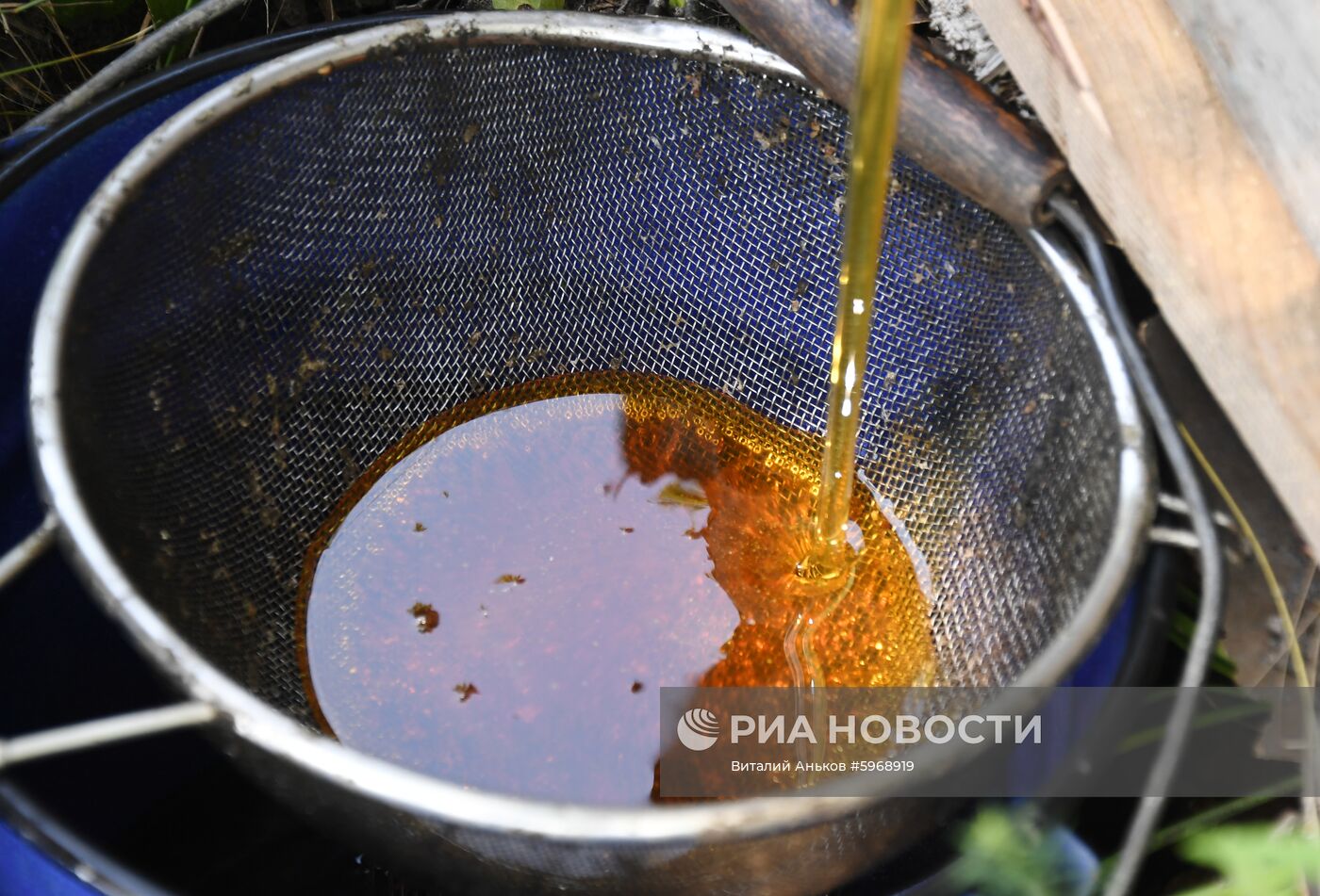 Пасека в Приморском крае