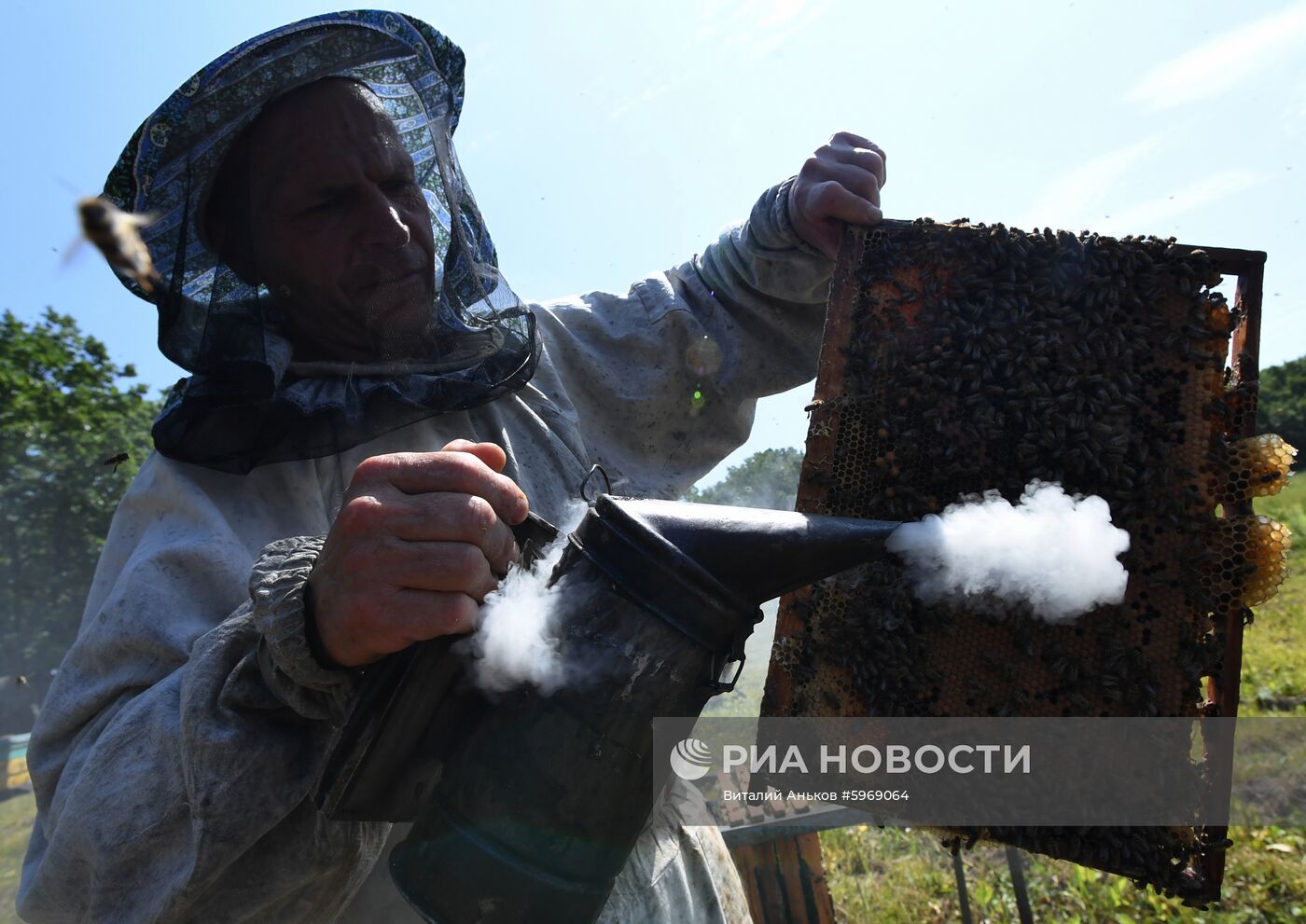 Пасека в Приморском крае