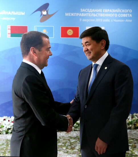 Премьер-министр РФ Д. Медведев принял участие в заседании Евразийского межправительственного совета стран ЕАЭС