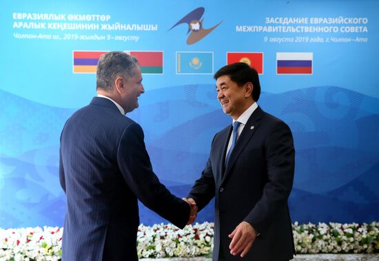 Премьер-министр РФ Д. Медведев принял участие в заседании Евразийского межправительственного совета стран ЕАЭС